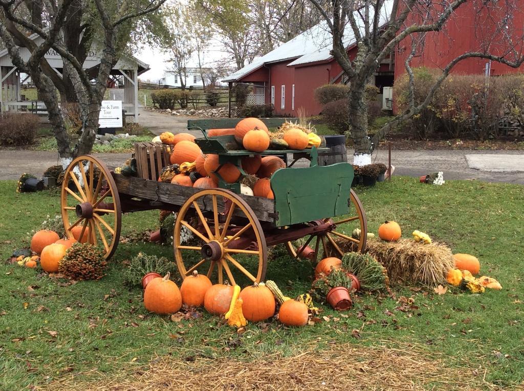 Nappanee Countryside Inn מראה חיצוני תמונה